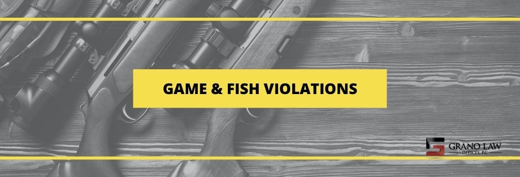 What Are the Fines for Game & Fish Violations in New Mexico